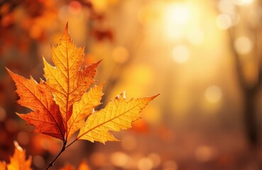 Golden autumn leaves hanging on a branch with warm sunlight filtering through trees in the background