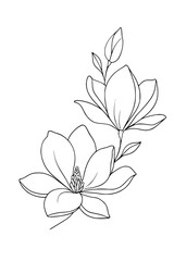 Elegant magnolia blossoms with delicate leaves, perfect for branding or botanical art projects
