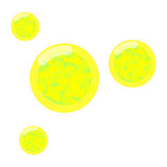 Illustration of Thalassiosira