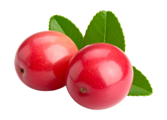 Two red berries with green leaves isolated on transparent background