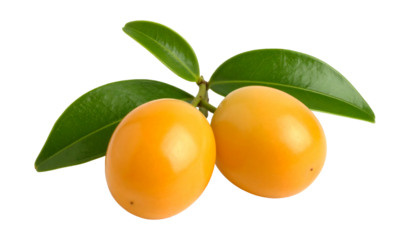 Two ripe yellow marian plum fruits with green leaves isolated on transparent background