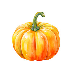 Watercolor pumpkin illustration. Autumn harvest element, Halloween and Thanksgiving decor, isolated on white.