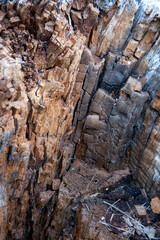 Close-up of decaying tree wood with visible cracks, splinters, and layers of bark in different shades of brown, showing natural decomposition and texture.