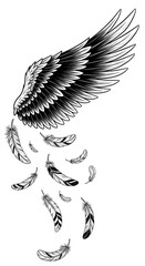 Winged Feather Tattoo Design.