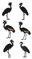 Silhouette Illustrations of Grey Crowned Cranes.
