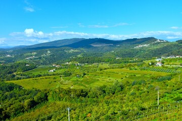 Rural landscape bellow forest covered hill at Goriška Brda in Primorska, Slovenia