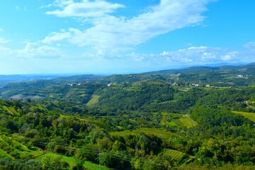 Obraz premium View of rural landscape and a forest covered valley in Goriška Brda, Primorska, Slovenia