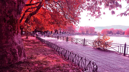 ioannina city in autumn season greece