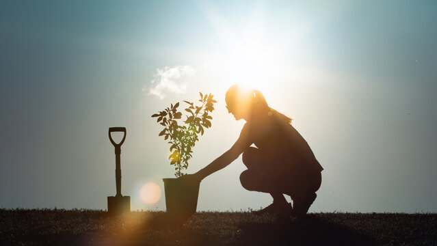 Woman planting a tree in the garden - Powered by Adobe