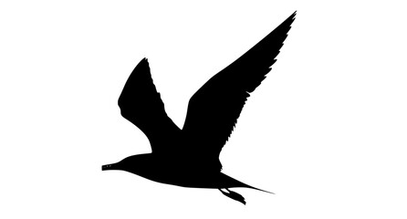 a black silhouette of a seagull flying in the skybird, black, flight, fly, gull, profile, sky 