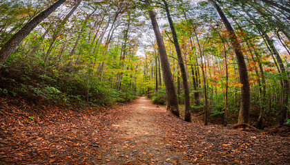 Wooded Trail In The American Tobacco Trail North Carolina In Early Fall