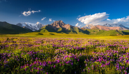 Fields Of Flowers And The Tian Shan Mountains Neari Issky Kul In Kyrgyzstan