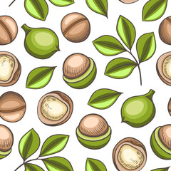 Pattern of macadamia nuts and leaves