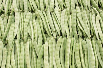 Row of fresh green beans in pods neatly displayed.