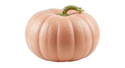 Heirloom pink pumpkin isolated on transparent background, autumn harvest for Thanksgiving and...