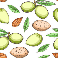 Seamless pattern of almonds and leaves