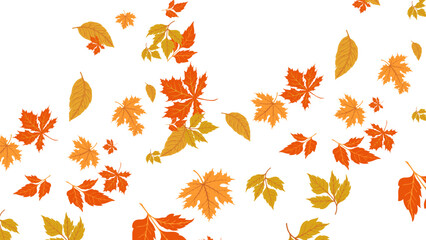Autumn foliage vector illustration with falling leaves for seasonal designs and thanksgiving projects use vector art