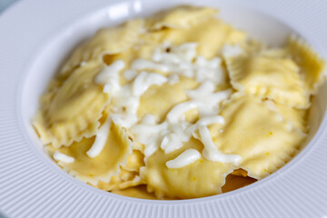 lose-Up of Italian Ravioli with Mozzarella and Olive Oil on a White Plate