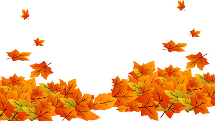 Autumn foliage season with falling maple leaves vector illustration for thanksgiving design element