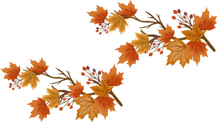 Autumn foliage vector art with maple leaves and berries for thanksgiving season graphic design elements