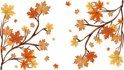 Autumn foliage seasonal design with maple leaf branches for thanksgiving and fall themed decorations