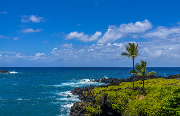 Fototapeta premium Picture Perfect - Waianapanapa State Park, Maui