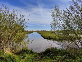 Serene Lake Landscape with Lush Greenery and Calm Waters