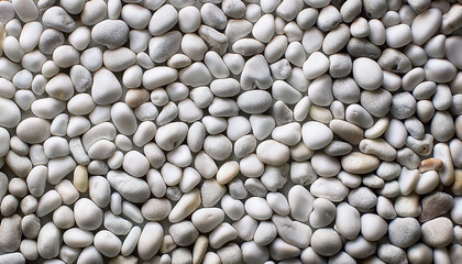 Small White Stones Pebbles Background Texture Of Small Stone