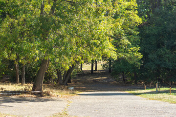 Landscape of South Park in city of Sofia, Bulgaria
