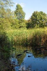 Landscape of South Park in city of Sofia, Bulgaria