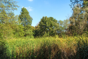 Landscape of South Park in city of Sofia, Bulgaria