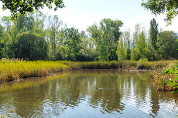 Landscape of South Park in city of Sofia, Bulgaria