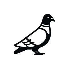 Stylized pigeon with clean lines and simple design, suitable for logos, apps, or projects emphasizing urban wildlife