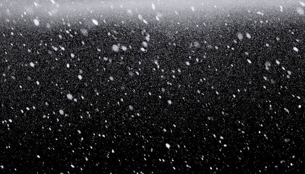 Falling Snow Down On The Black Background
