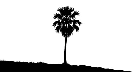 Obraz premium Silhouette of a palm/coconut tree standing alone on the ground with a white background, looking simple yet elegant.