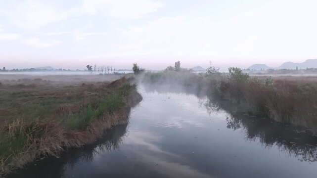 Drone travel in sobre los humedales de Xochimilco con patos nadando y vapor al amanecer, Ciudad de M&eacute;xico &ndash; video a&eacute;reo 4K