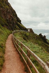 Coast landscape: path to the sea on a summer day with green grass and blue sky