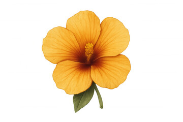 Yellow hibiscus flower with green leaf on transparent background, symbolizing tropical beauty and exotic nature