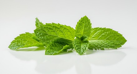 Fresh green mint leaves isolated on white background closeup