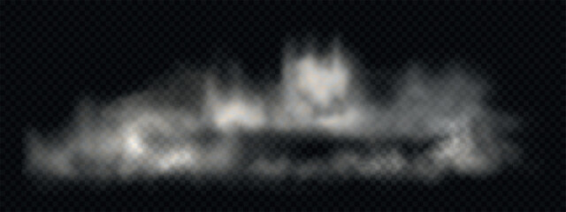 Steam cloud on floor. Vector smoky ring effect. Realistic portal from mist or fog isolated on transparent background