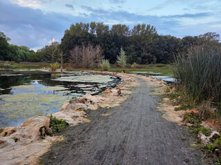 Floded bicycle path - Pathway through a peaceful marshland with a calm pond, dense foliage, and cloudy sky.