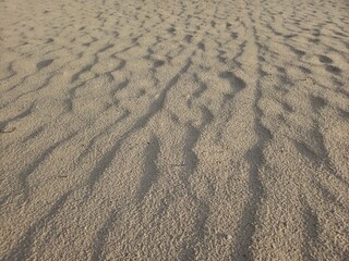 Wind-sculpted golden sand dunes with intricate ripples and deep shadows under bright daylight