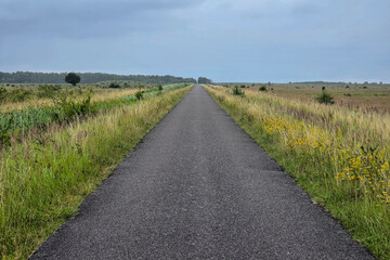 Denmark - Vest Amager -  A straight asphalt road cutting through expansive green and golden fields on an overcast day.