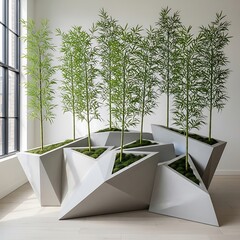Modern Geometric Planters with Bamboo Plants.