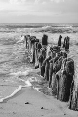 beach in the morning
