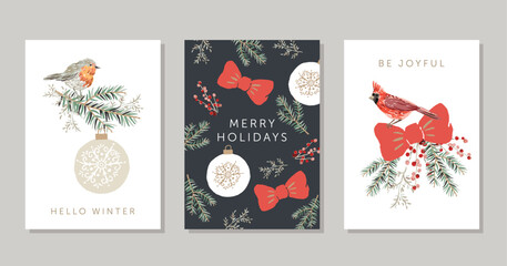 Christmas greeting cards template, text, white, black background. Cardinal bird, robin bird, fir twigs, red berries, bow, ball. Vector xmas illustration. Winter forest