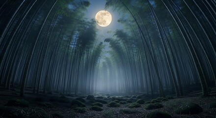 Mysterious Bamboo Forest at Night Under Full Moon.