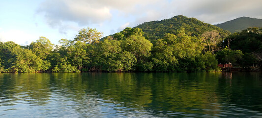 Fototapeta premium sea ​​in front of green trees, mountains in the background 