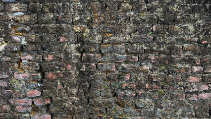 Old overgrown brick wall textures. Horizontal background.