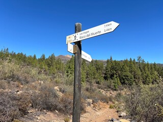Hiking trais pointer in the Canary pine tree forest of Granadilla de Abona, Tenerife, Canary Islands, Spain, green forest and blue sky 